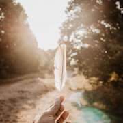 hand hold a feather in the sunset in the middle of nature